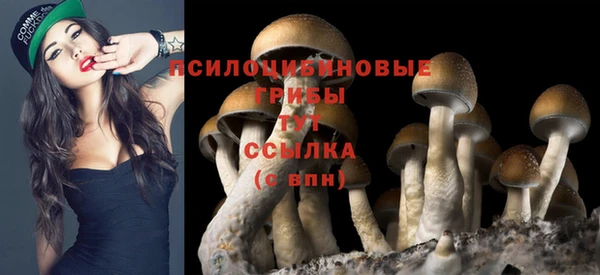МДПВ Михайлов