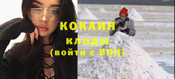 МДПВ Михайлов