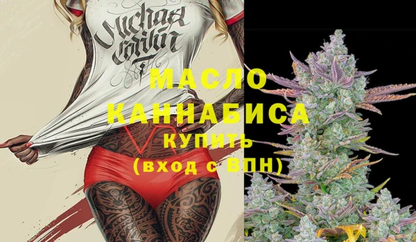 МДПВ Михайлов