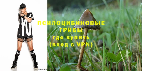 МДПВ Михайлов