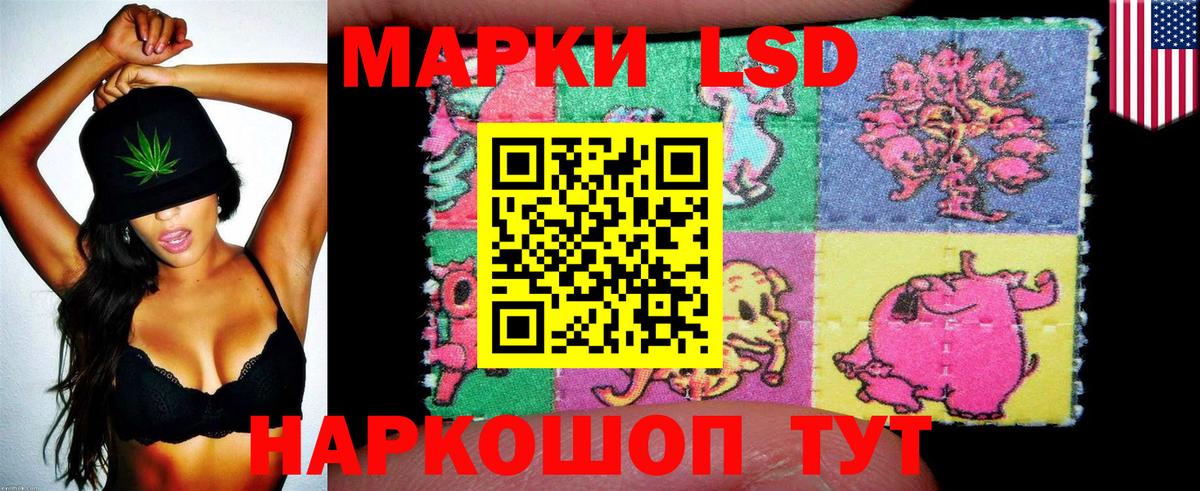 дарнет шоп  Вологда  Наркотические марки 1500мкг  Наркотические марки 