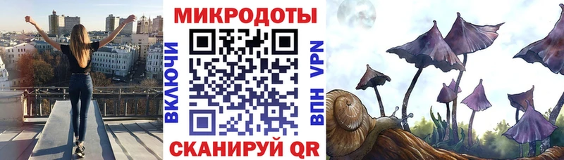hydra ссылка  купить наркотик  Вологда  Галлюциногенные грибы мухоморы 