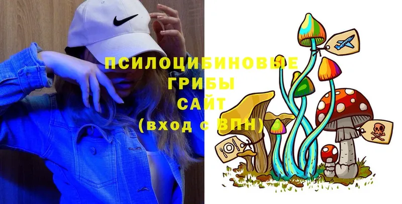 Галлюциногенные грибы Cubensis  Вологда 