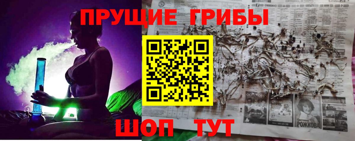 Галлюциногенные грибы ЛСД  магазин продажи наркотиков  Вологда 