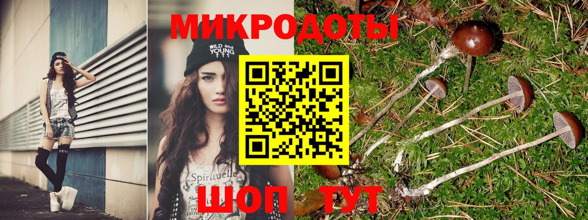 Псилоцибиновые грибы GOLDEN TEACHER  Вход с VPN  Вологда 